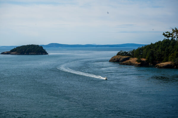 Seattle Trip-15